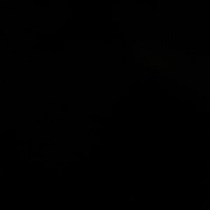 Meet your Posher, Lesli